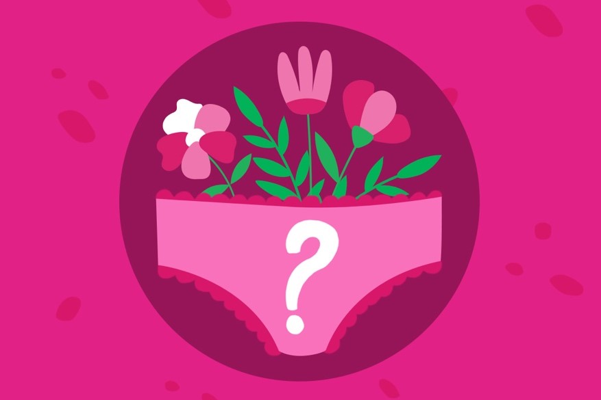 desenho de uma calcinha rosa com flores saindo dela