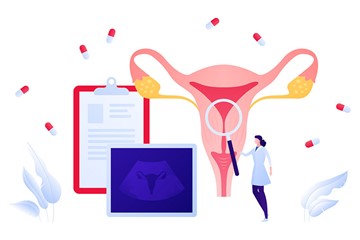 desenho explicativo de anatomia